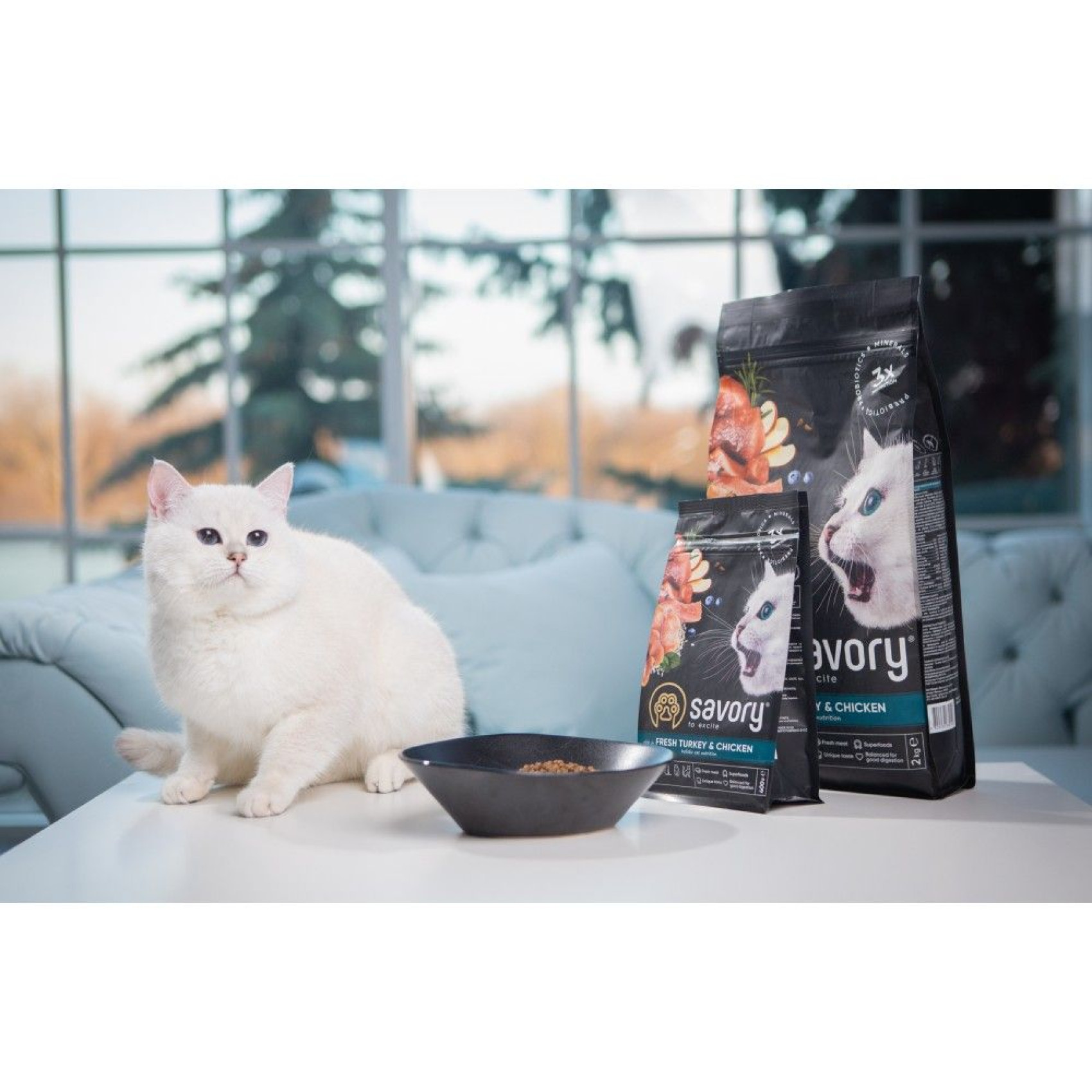 Сухий корм для кошенят Savory Kitten 8 кг - індичка та курка