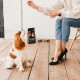 Сухий корм для цуценят Savory Puppy Fresh 1 кг - індичка та курка
