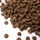 Сухий корм для собак Savory Small Breed 1 кг - ягня