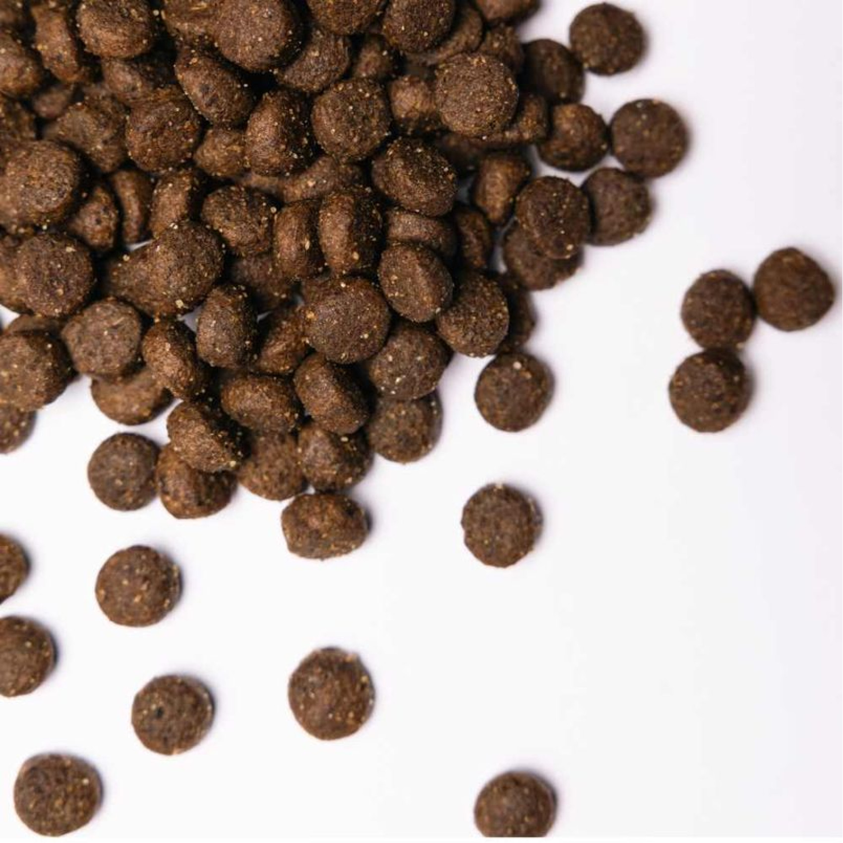 Сухий корм для собак Savory All Breed 3 кг - кролик та качка