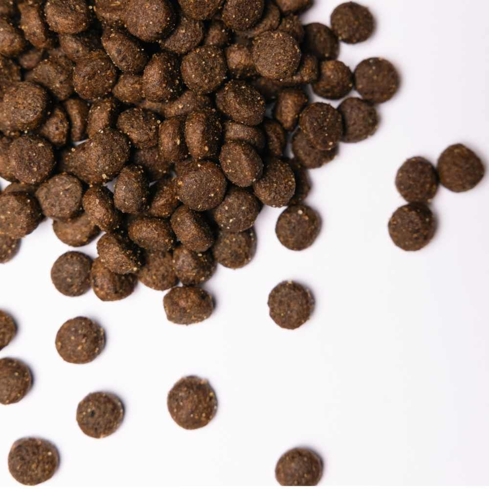 Сухий корм для собак Savory All Breed 12 кг - кролик та качка
