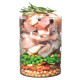 Сухий корм для дорослих собак усіх порід Carnilove True Fresh FISH for Adult dogs 1,4 кг (риба)