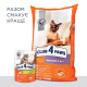 Сухий корм для дорослих котів Club 4 Paws Premium Indoor 4 в 1, 14 кг - курка