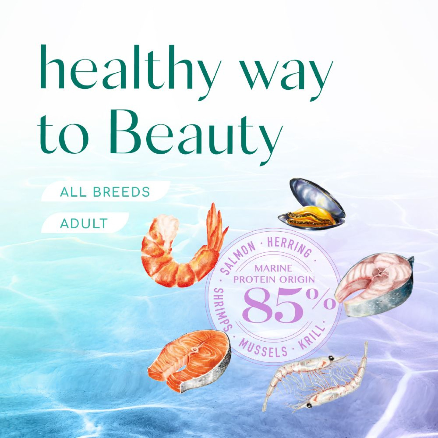 Сухий корм для собак усіх порід Optimeal Beauty Harmony із заспокійливим ефектом 1,5 кг (морепродукти)