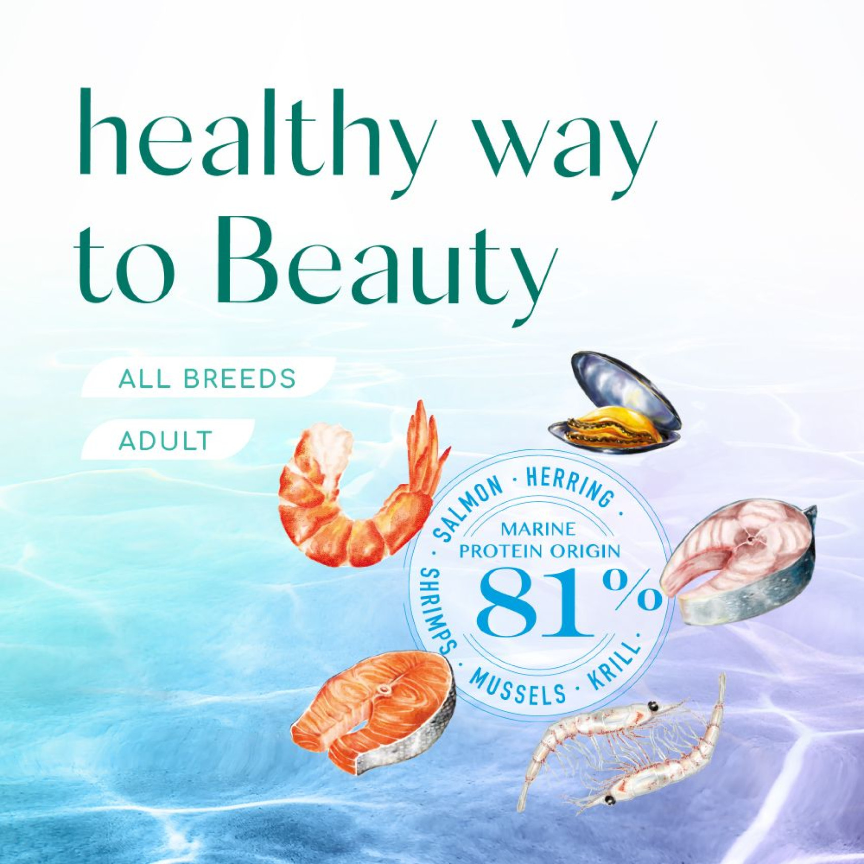Сухий корм для собак усіх порід Optimeal Beauty Podium Shiny Coat & Dental Care 4 кг (морепродукти)
