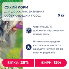Сухий корм для собак Club 4 Paws Adult Active Medium Breeds 5 кг - курка