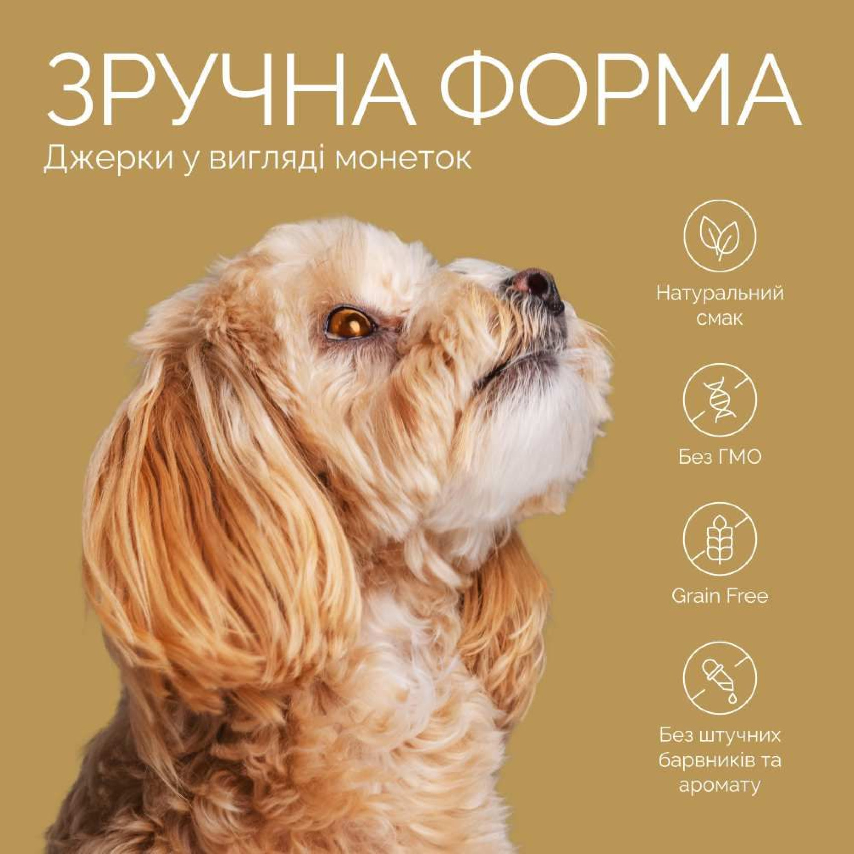 Лакомство Savory Puppy Coins With Turkey 100 г - индейка