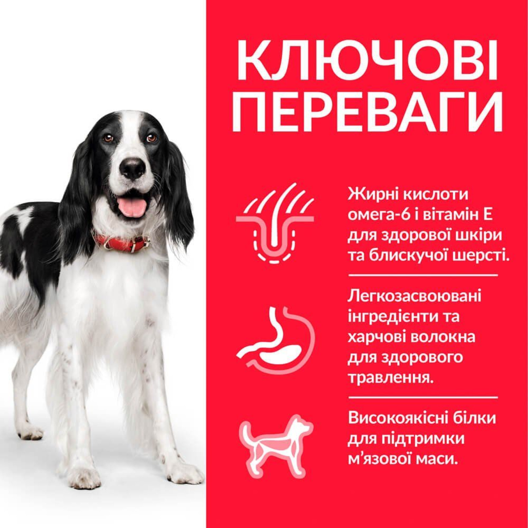 Сухий корм для собак Hill’s Science Plan Adult Medium Breed 2,5 кг - курка
