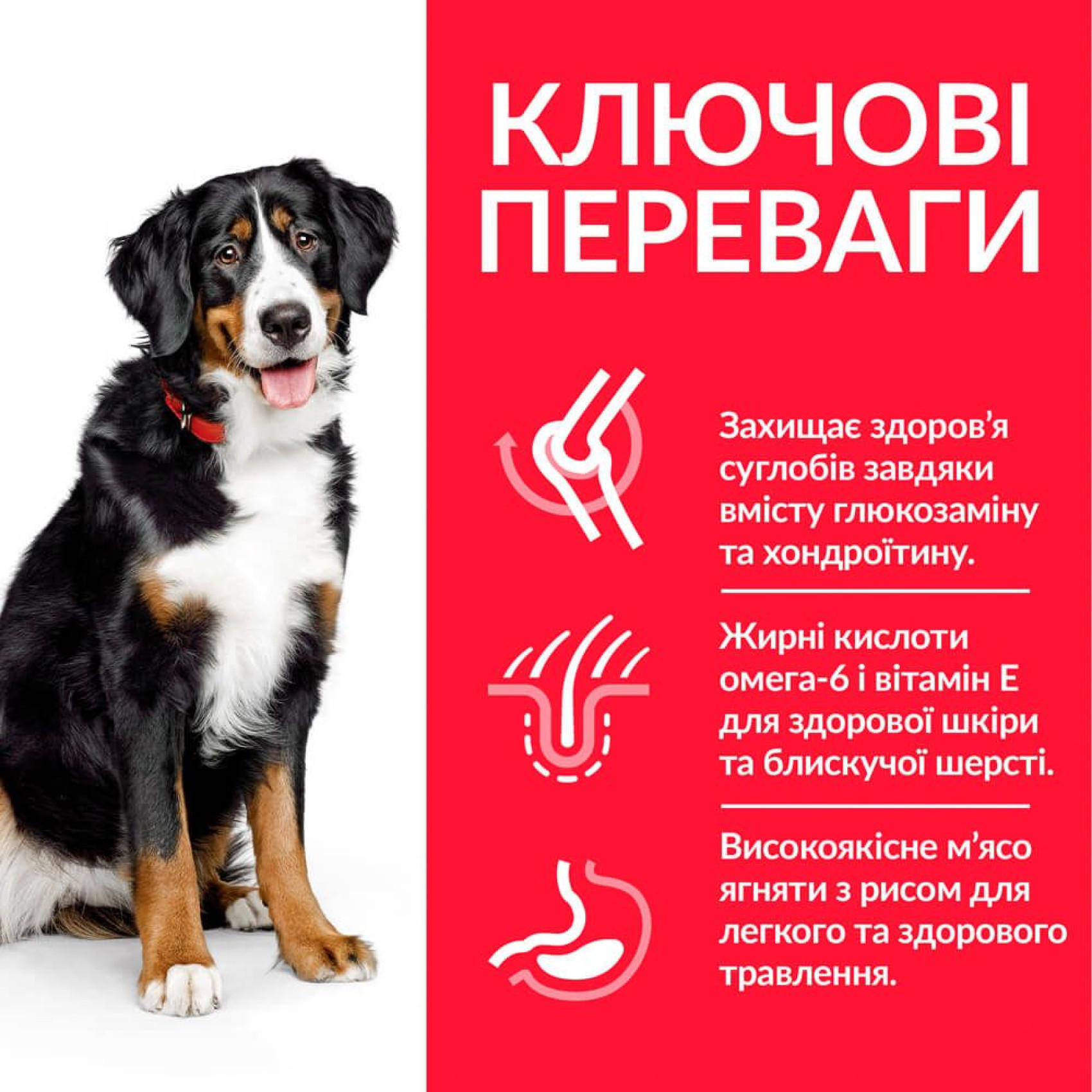 Сухий корм для собак Hill’s Science Plan Adult Large Breed 14 кг - ягня та рис
