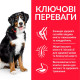 Сухий корм для собак Hill’s Science Plan Adult Large Breed 14 кг - ягня та рис