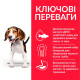 Сухий корм для цуценят Hill’s Science Plan Puppy Medium Breed 2,5 кг - курка