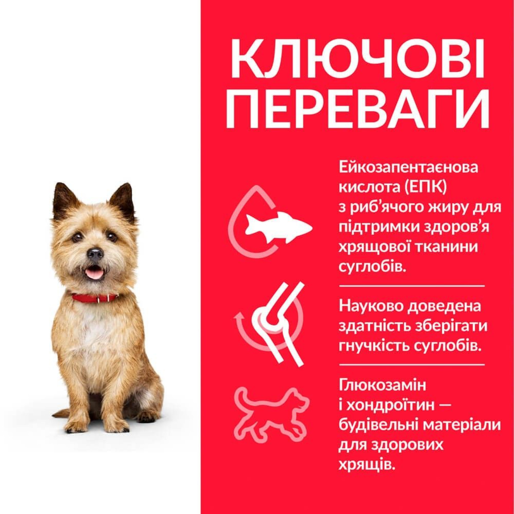 Сухий корм для собак Hill’s Science Plan Adult Healthy Mobility Small&Mini 1,5 кг - курка