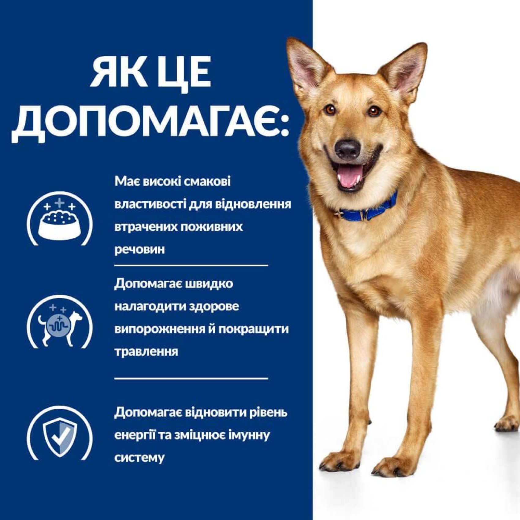 Сухий корм для собак Hill's Prescription Diet i/d 1,5 кг - курка