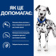 Сухий корм для собак Hill's Prescription Diet u/d 4 кг