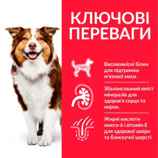 Сухой корм для собак Hill’s Science Plan Mature Adult 7+ Medium Breed 14 кг - курица