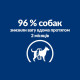Сухий корм для собак Hill's Prescription Diet Metabolic 1,5 кг - курка