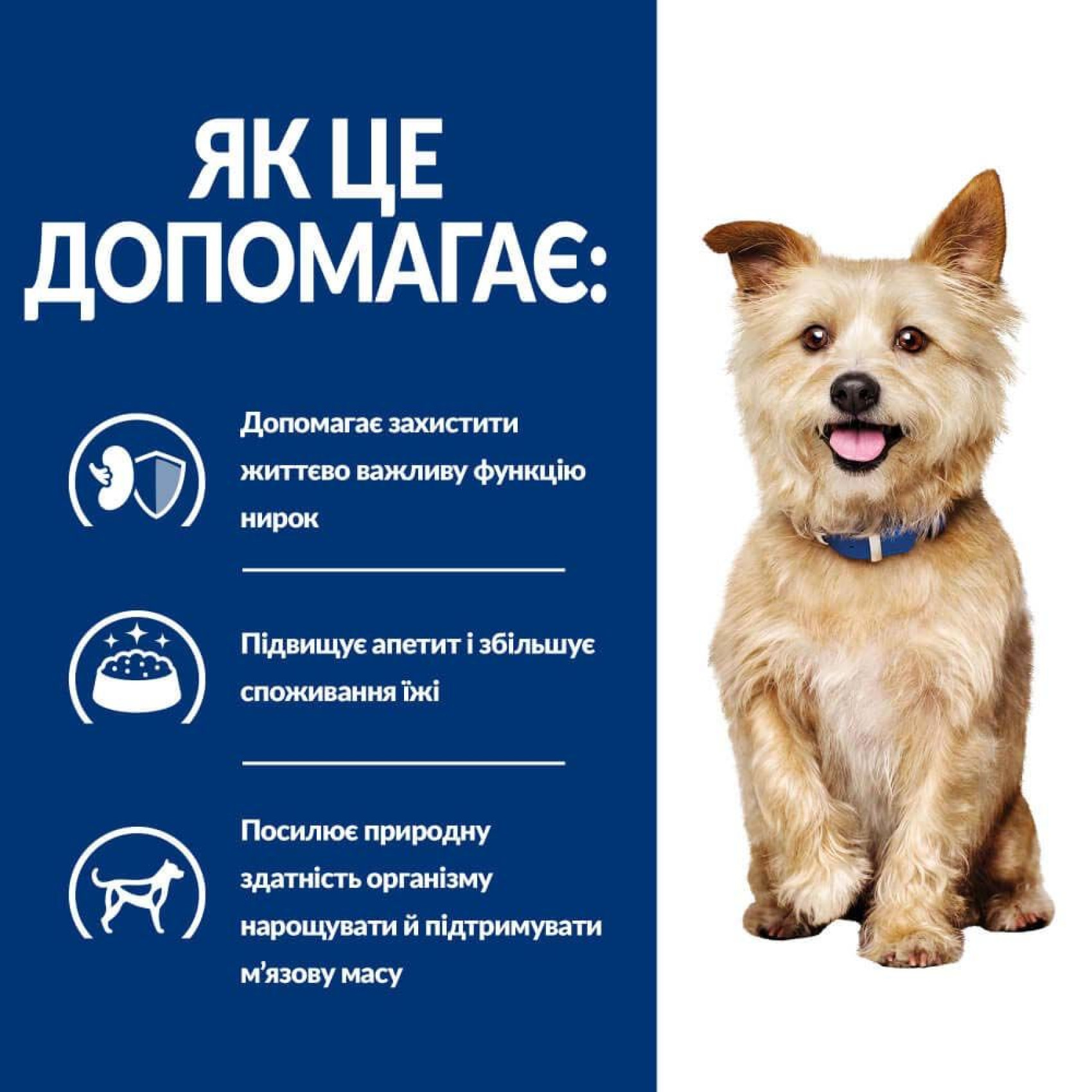 Сухий корм для собак Hill's Prescription Diet k/d 12 кг - курка