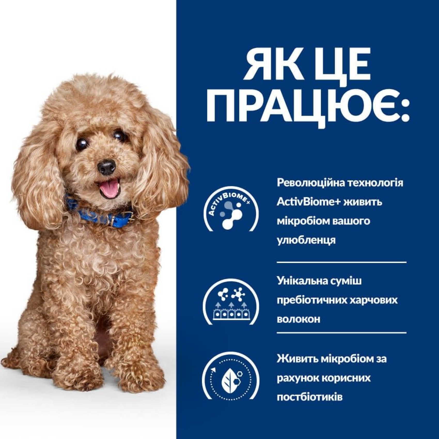 Сухий корм для собак Hill’s Prescription Diet Gastrointestinal Biome Mini 1 кг - курка