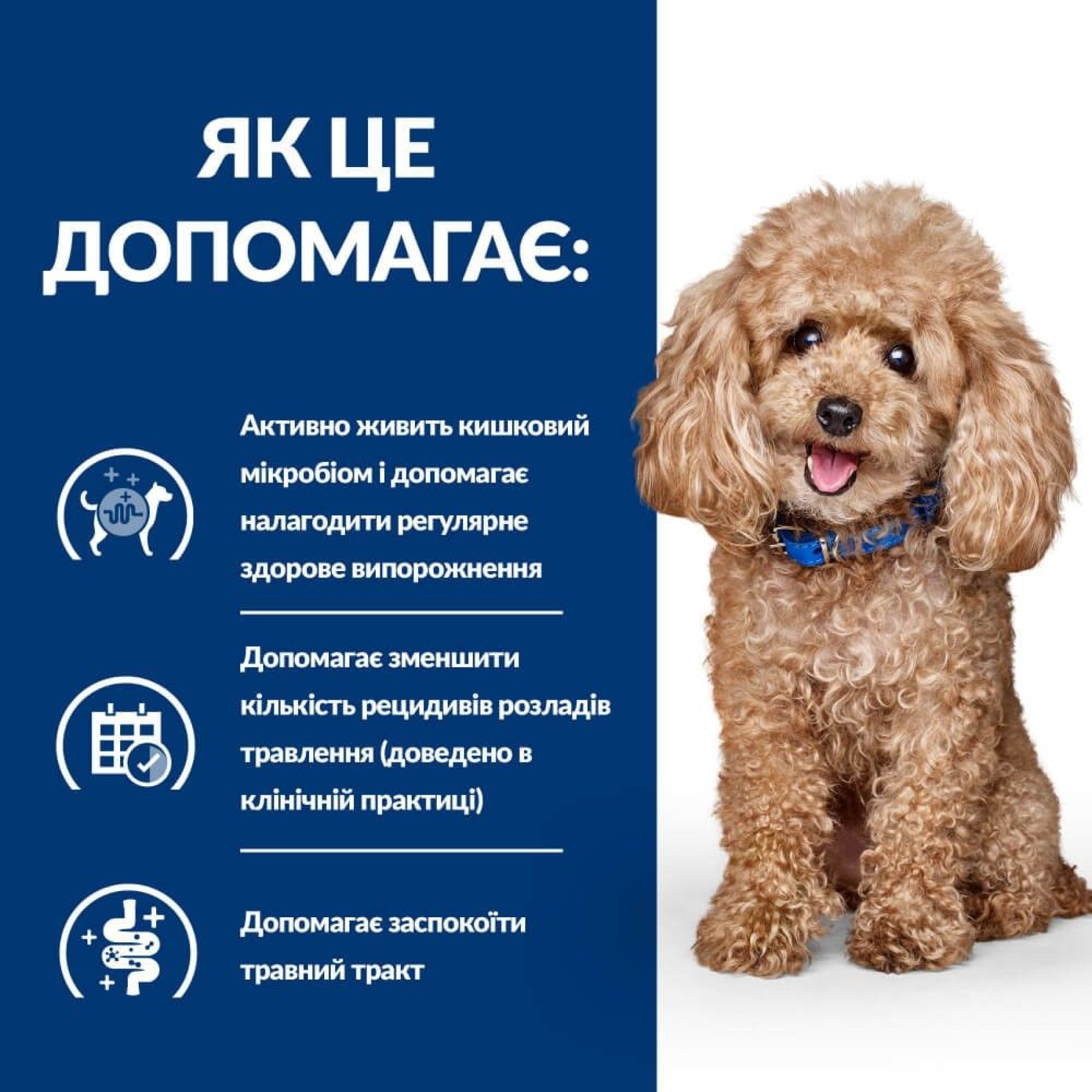 Сухий корм для собак Hill’s Prescription Diet Gastrointestinal Biome Mini 1 кг - курка