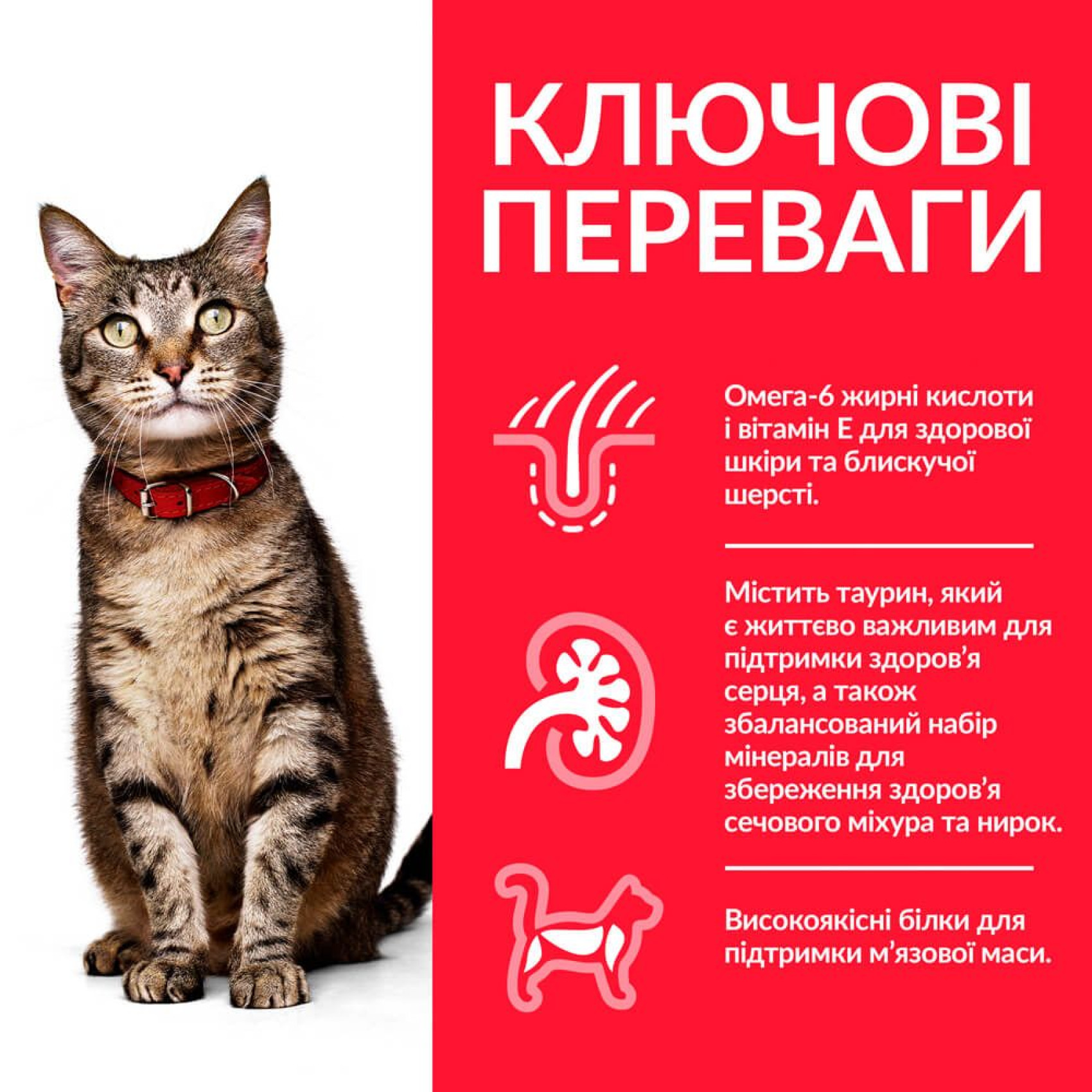 Сухий корм для котів Hill's Science Plan Adult 1,5 кг - ягня