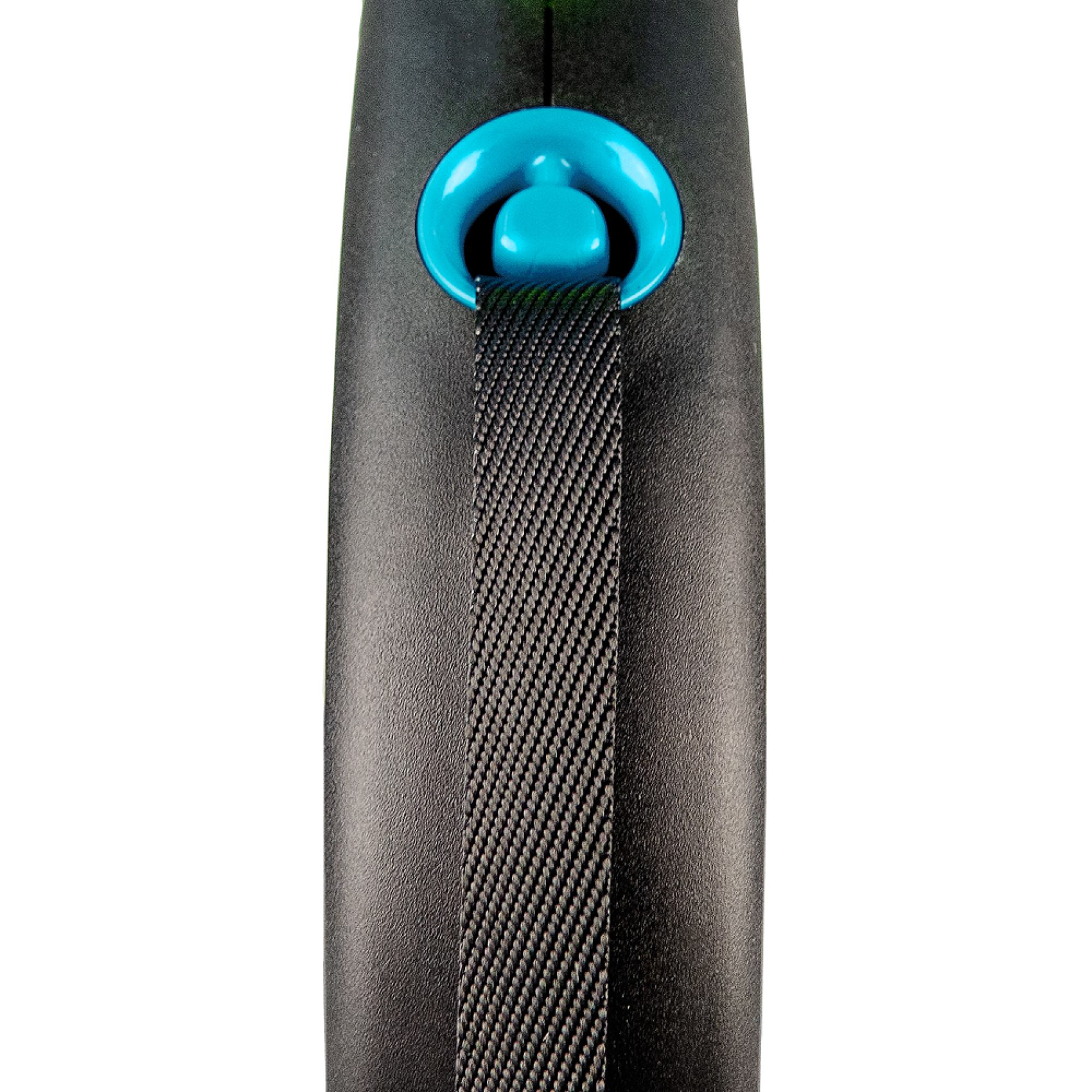 Повідець-рулетка для собак Flexi Black Design, зі стрічкою S 5 м/15 кг - синя