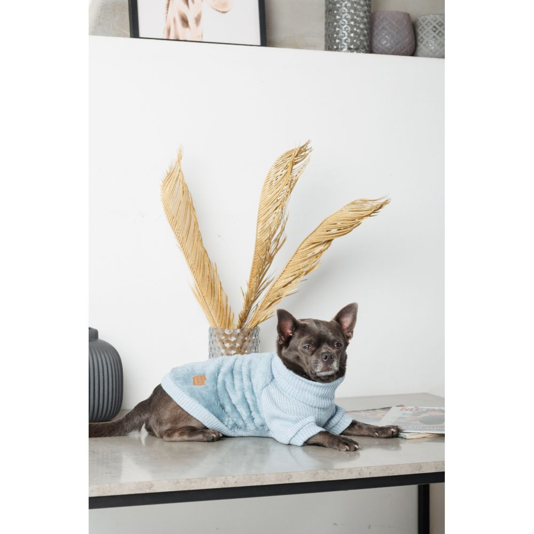 Светр для собак Pet Fashion Fur XS-2