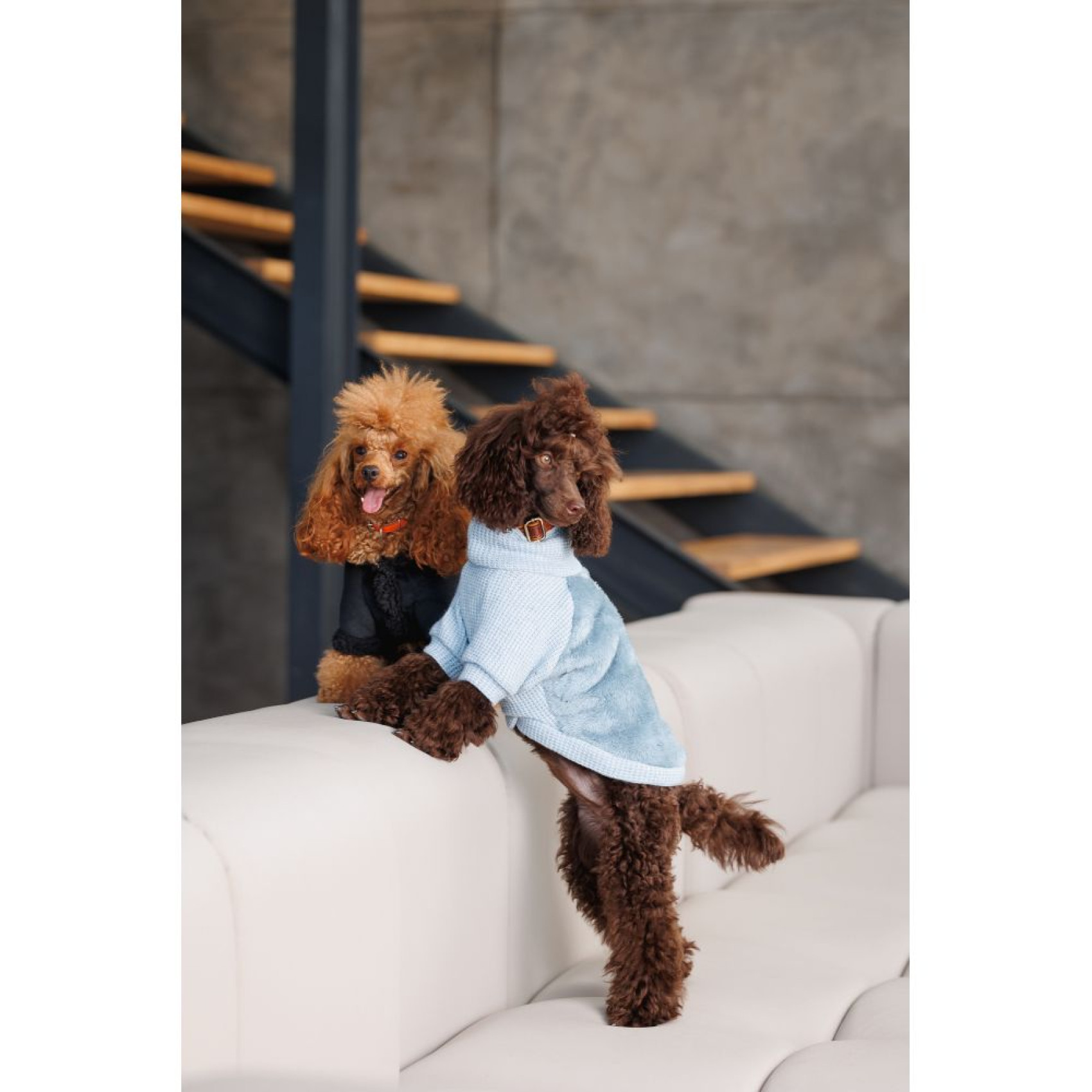 Светр для собак Pet Fashion Fur XS-2