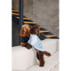 Светр для собак Pet Fashion Fur XS-2