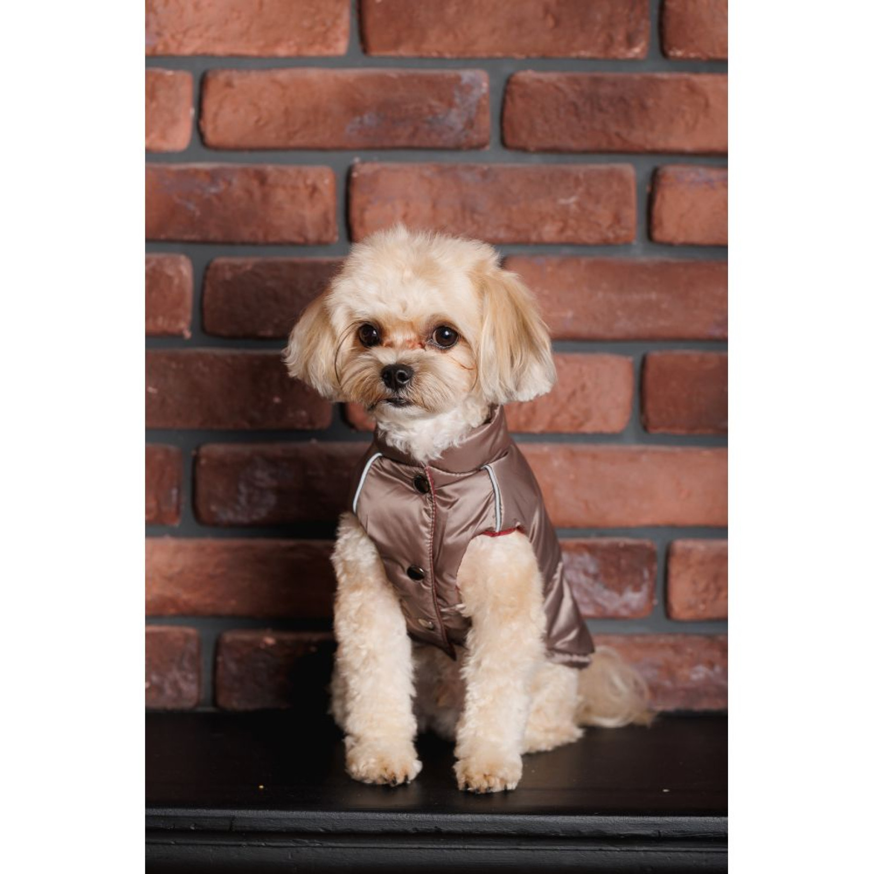 Жилет для собак Pet Fashion Hardy XS