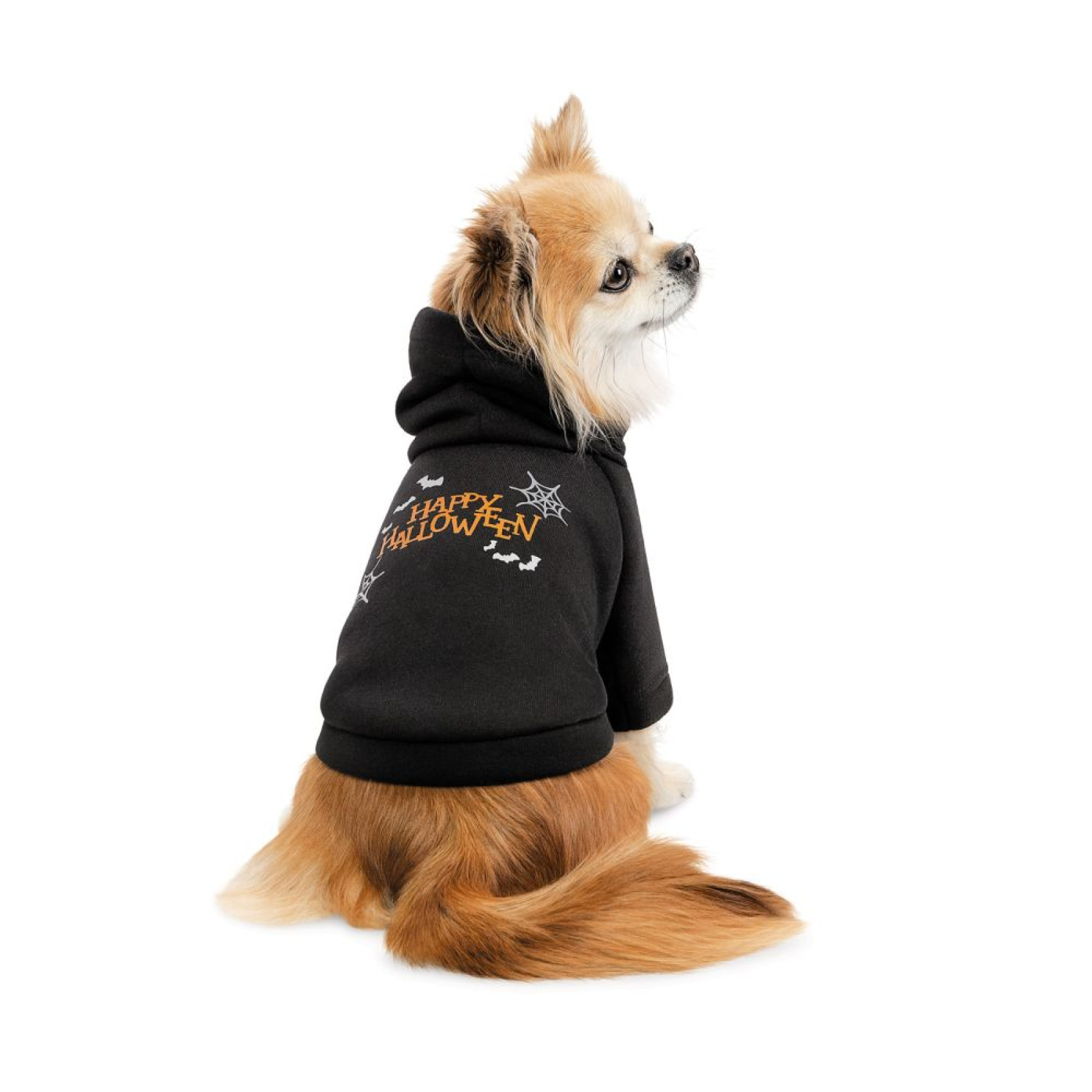 Толстовка для собак Pet Fashion Halloween XS