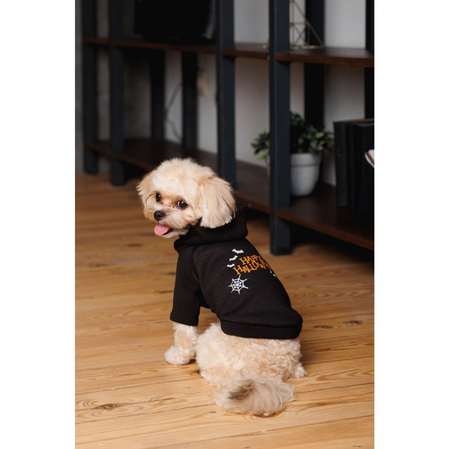 Толстовка для собак Pet Fashion Halloween XS
