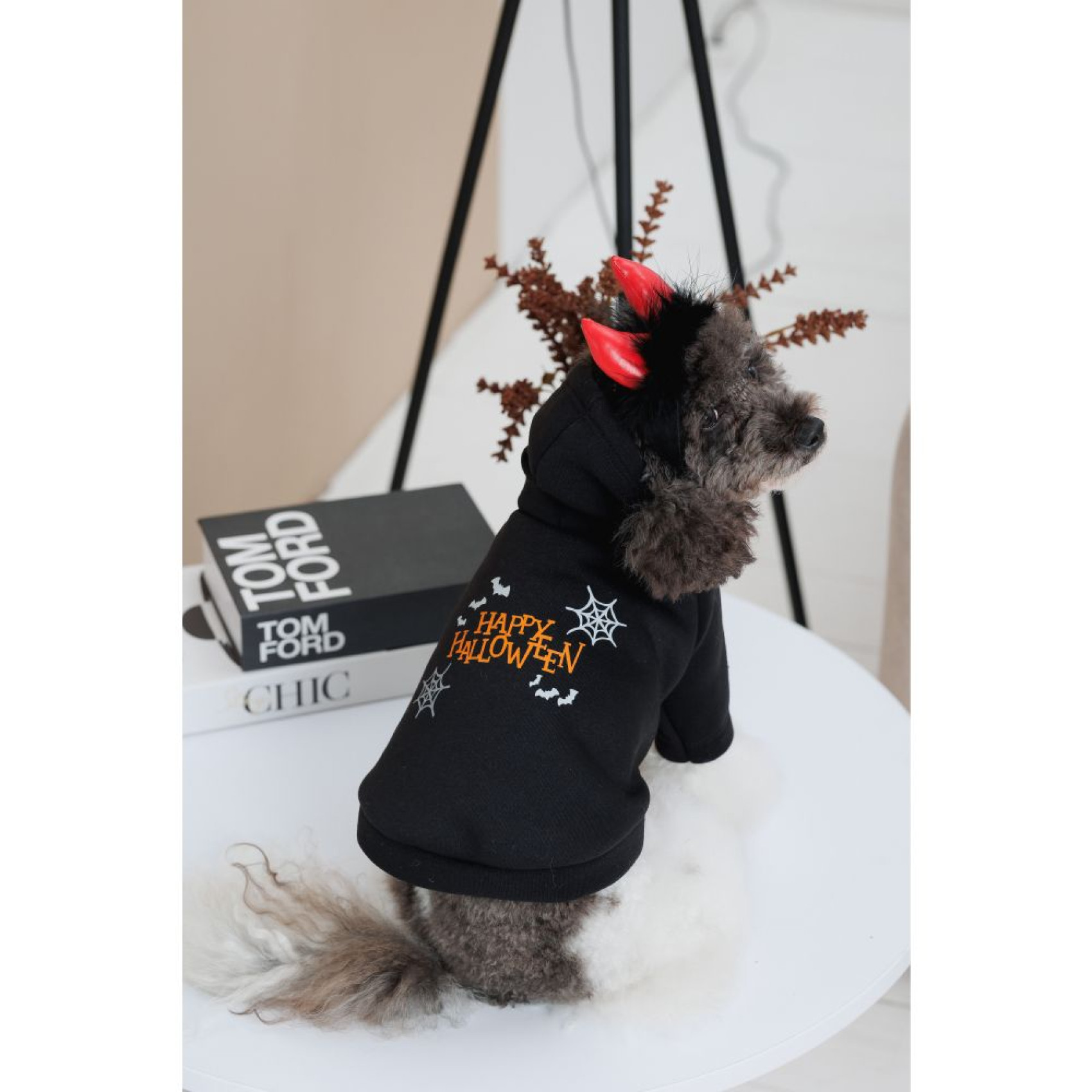 Толстовка для собак Pet Fashion Halloween XS