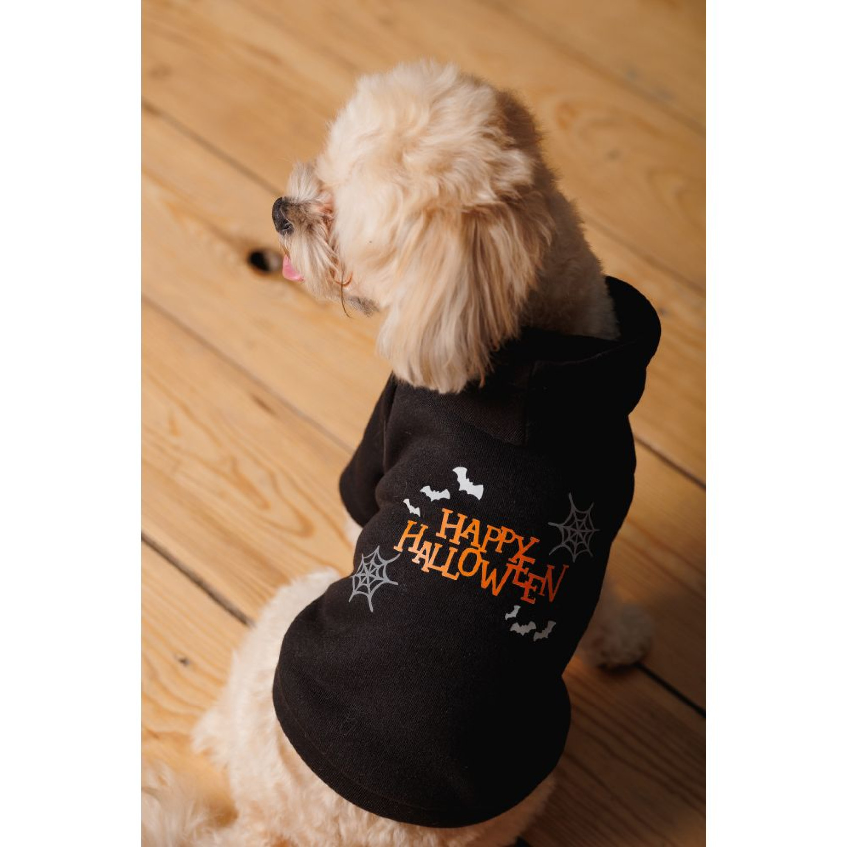 Толстовка для собак Pet Fashion Halloween XS
