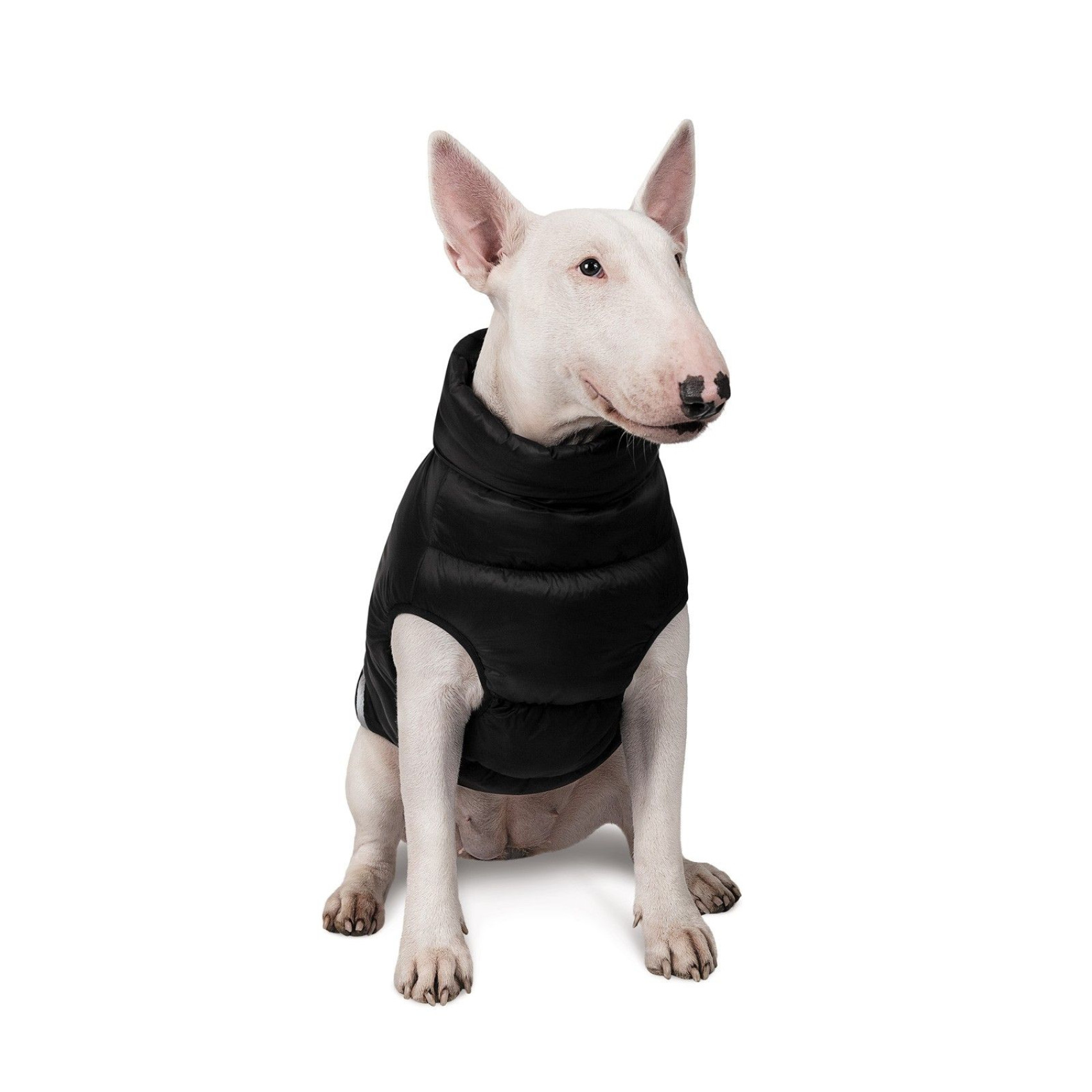 Жилет для собак Pet Fashion Big Boss 2XL