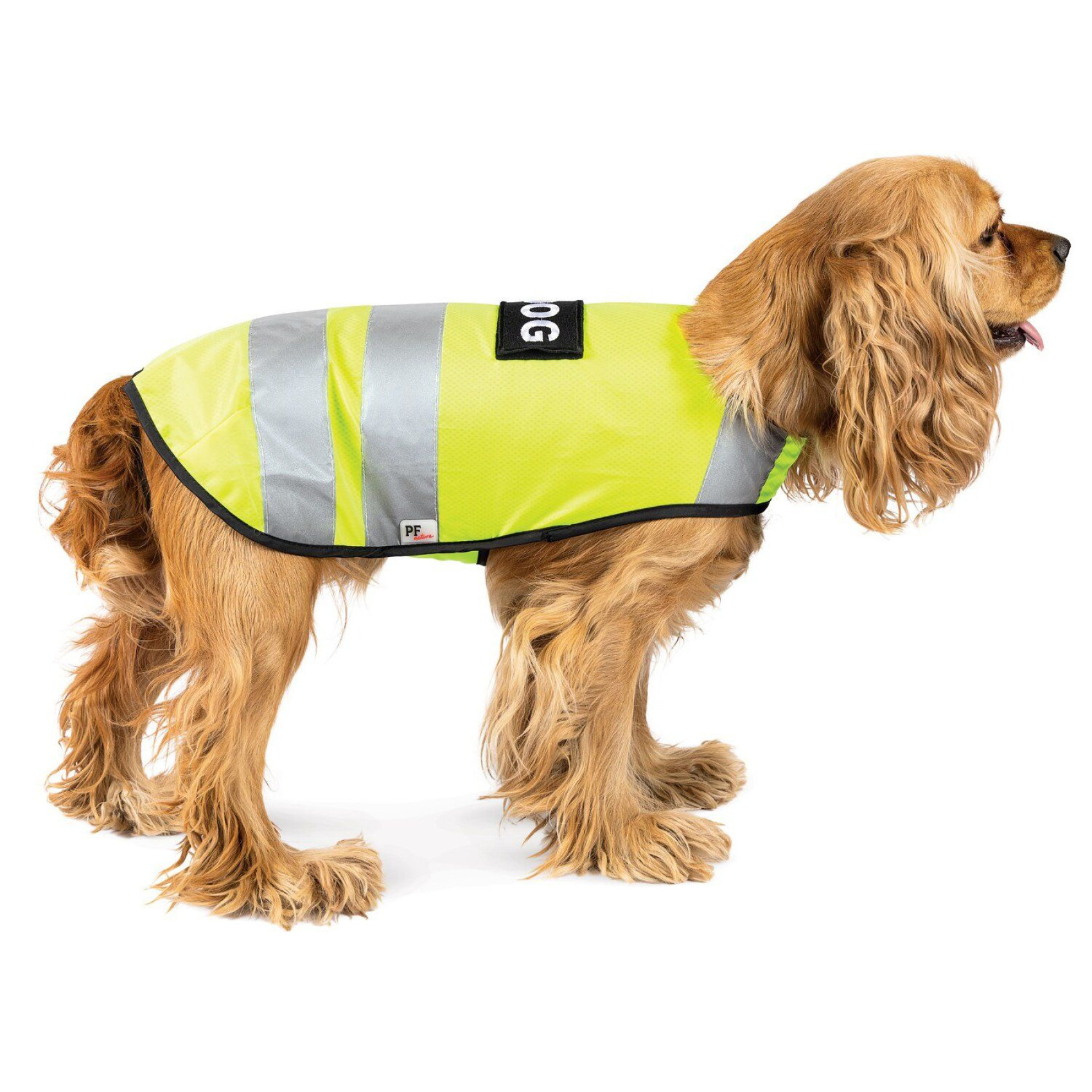 Жилет для собак Pet Fashion «Yellow Vest» XS