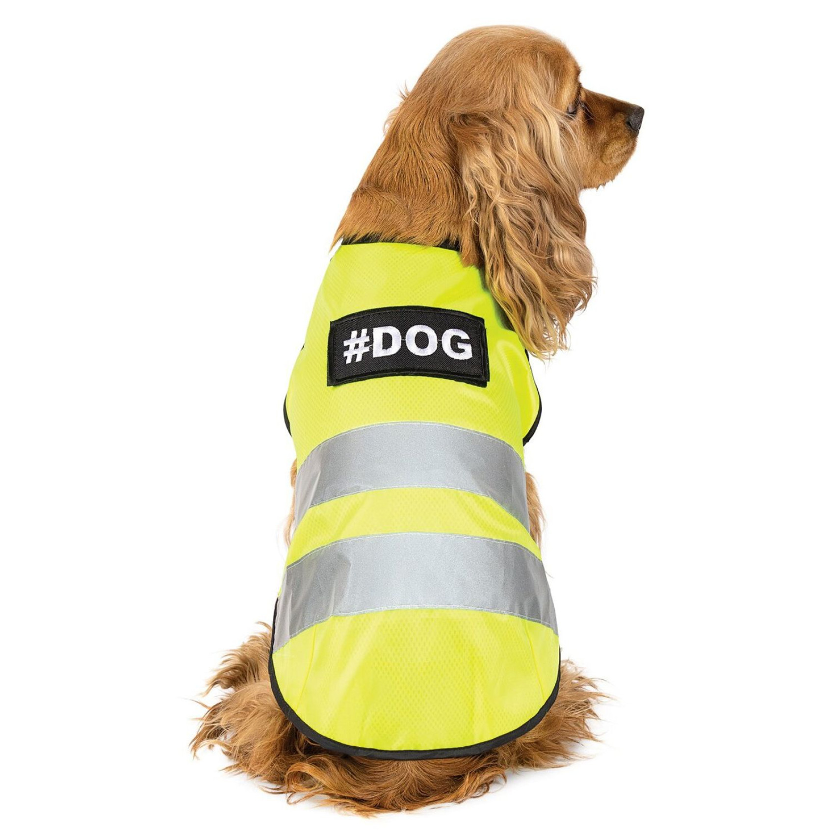 Жилет для собак Pet Fashion «Yellow Vest» XS