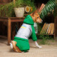 Костюм для собак Pet Fashion «Leaf» M