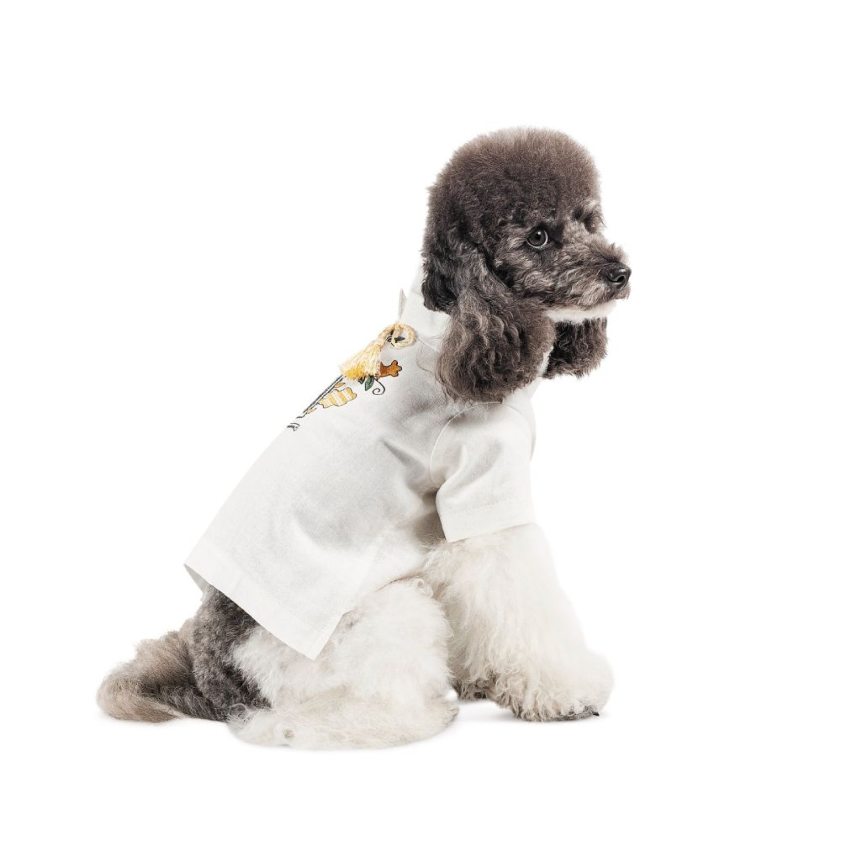 Вишиванка для собак Pet Fashion Ostap XXS