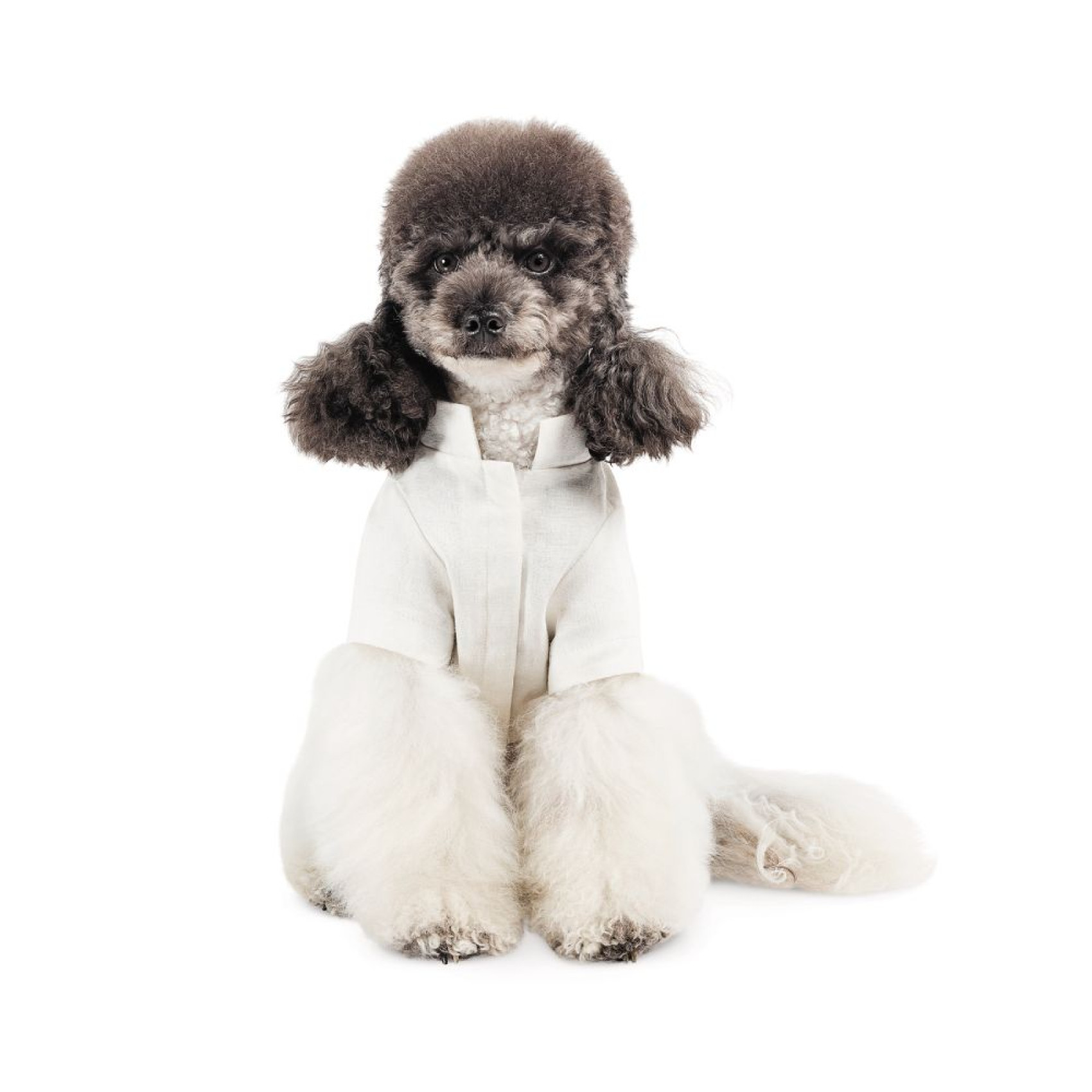 Вишиванка для собак Pet Fashion Ostap XXS