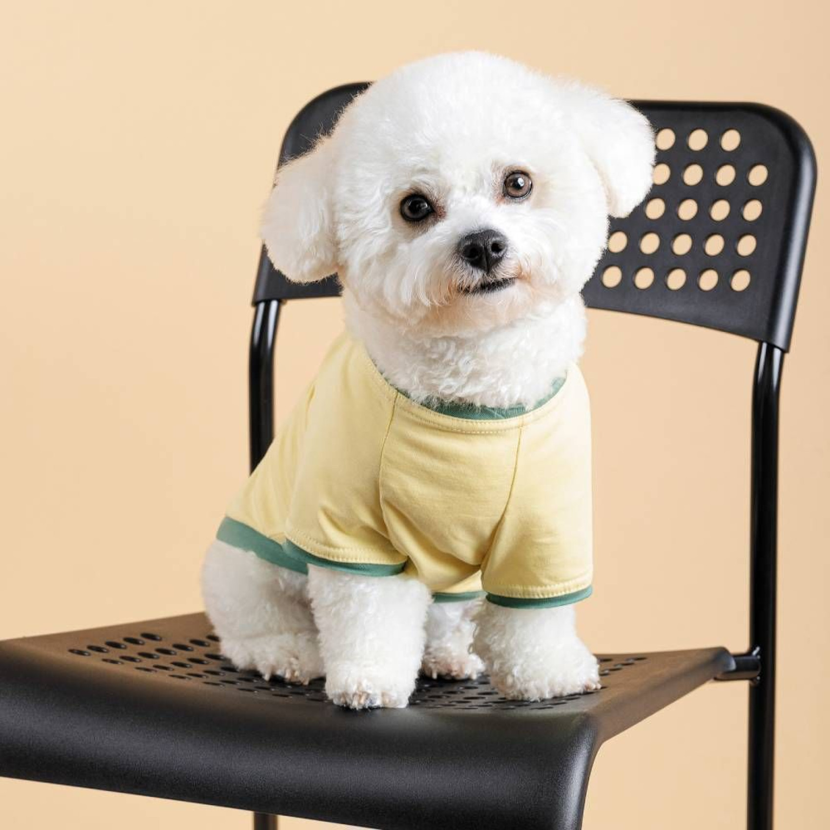 Футболка для собак Pet Fashion Endy XXS