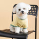 Футболка для собак Pet Fashion Endy XXS