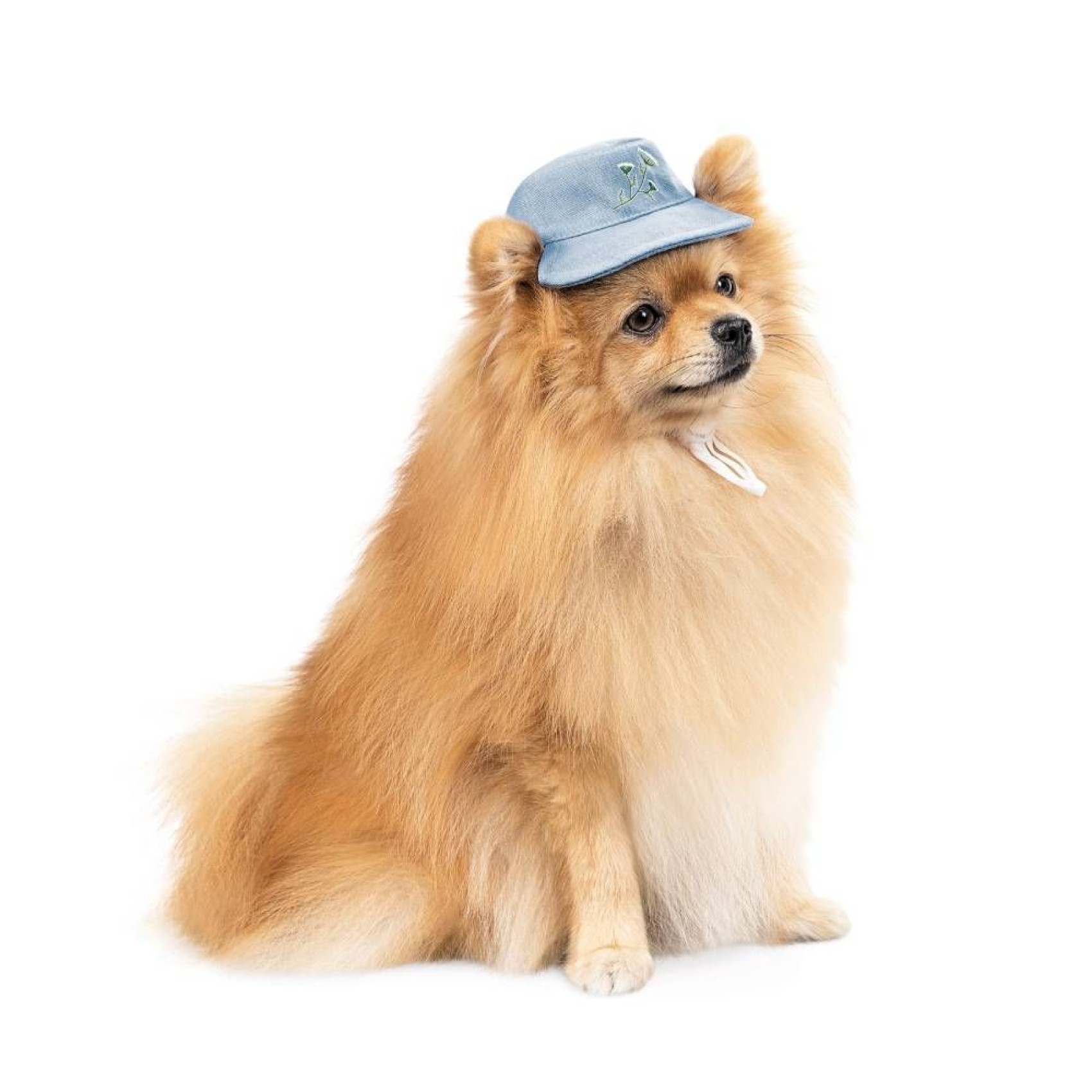 Панама для собак Pet Fashion Blue XS