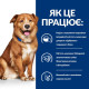 Сухий корм для собак Hill’s Prescription Diet Derm Complete 4 кг - яйце та рис