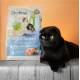 Сухий корм для котів Profine Cat Light 2 кг - індичка та курка