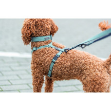Повідець для собак Trixie CityStyle V-Lead S–M світло-зелений