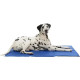 Килимок охолоджуючий Trixie Cooling Mat 100 см / 60 см - синій