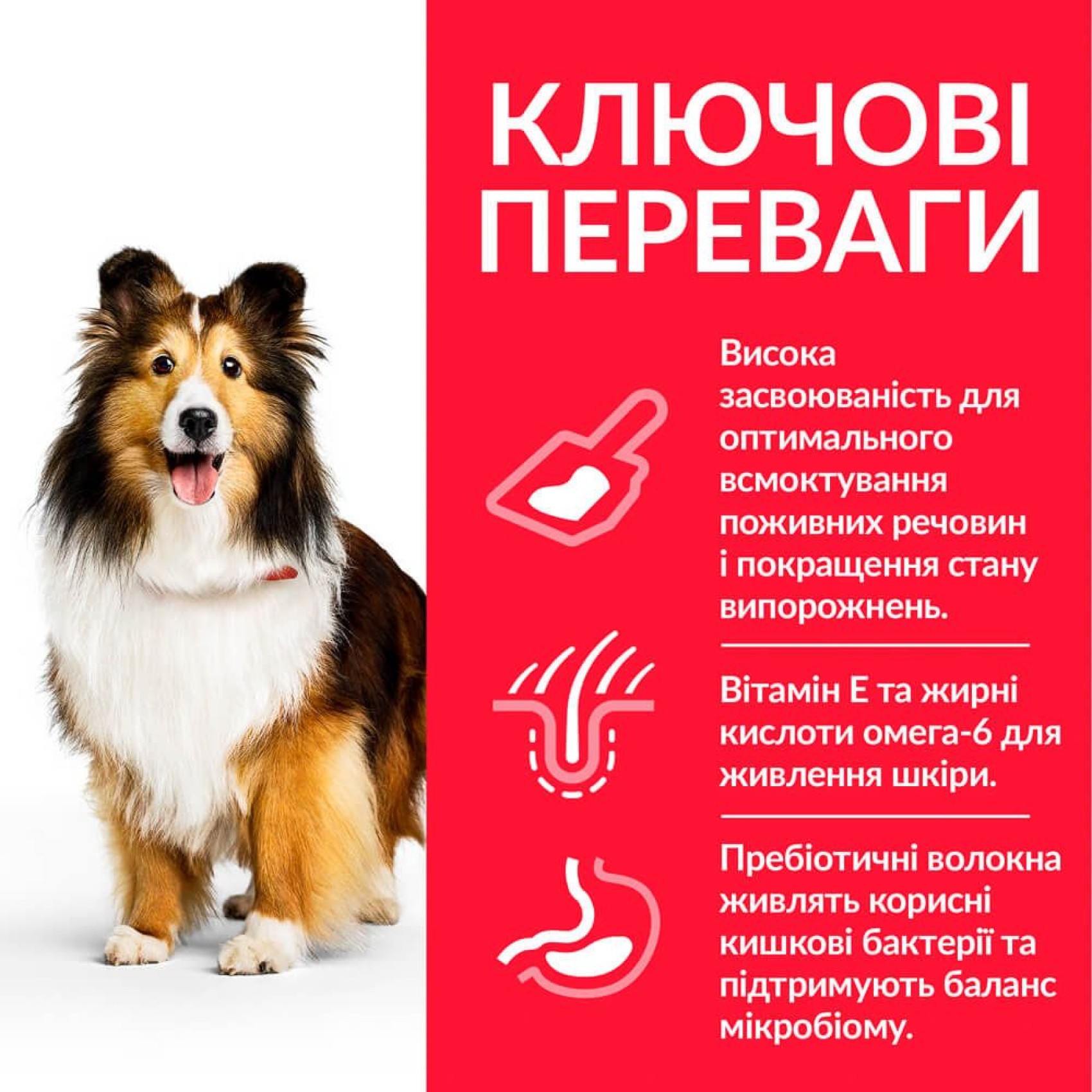 Сухий корм для собак Hill’s Science Plan Sensitive Stomach&Skin Medium Breed Adult 2,5 кг - курка