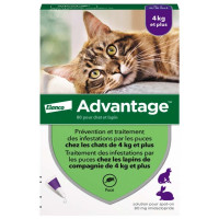 Краплі на холку для котів Elanco Bayer Advantage від 4 до 8 кг, 1 шт