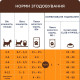 Вологий корм для кошенят Club 4 Paws Premium pouch 80 г (лосось)