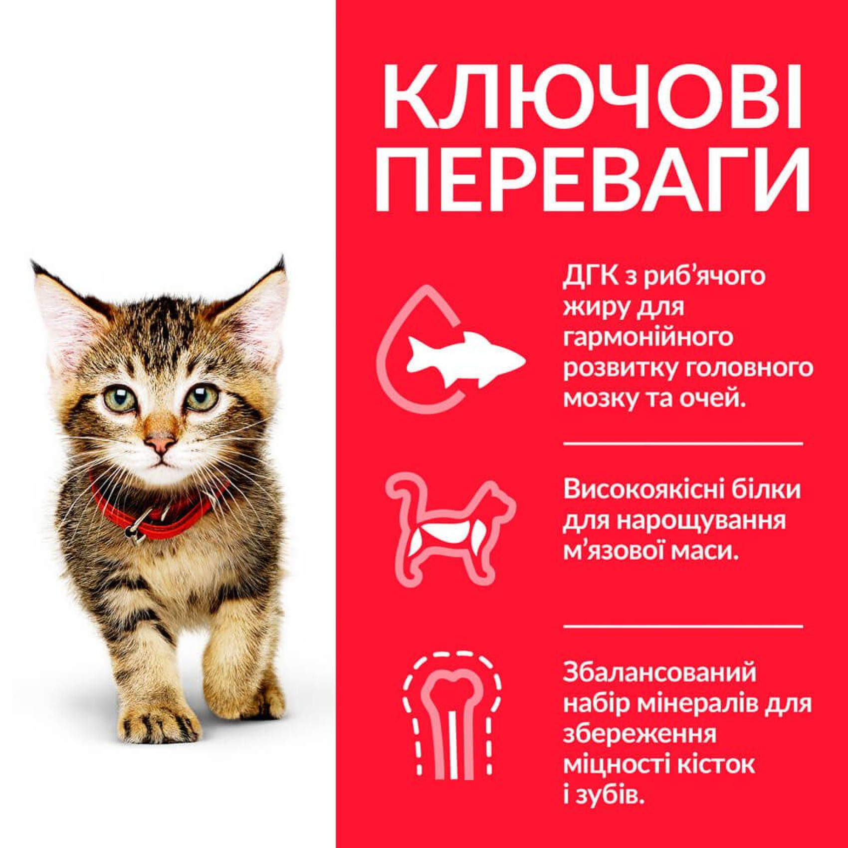 Сухий корм для кошенят Hill's Science Plan Kitten 300 г - тунець